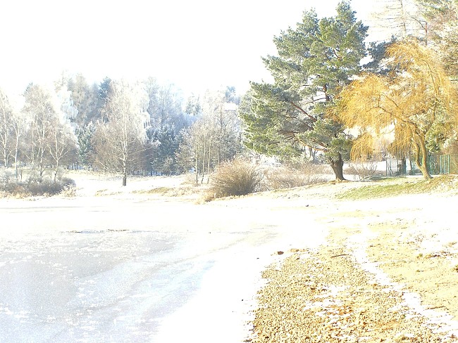 Slunečný zimní den - 21. 12. 2007