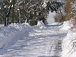 Únorová sněhová nadílka